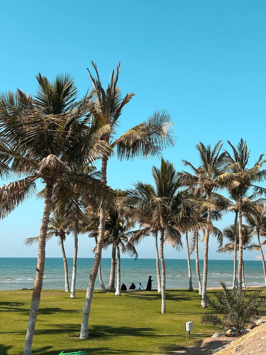 Береговая линия Qurum