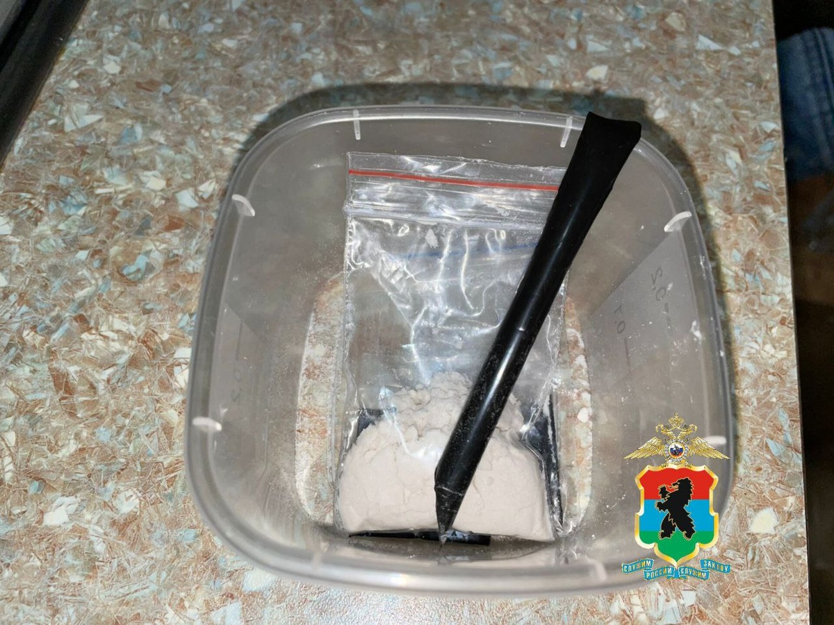    Фото: Полиция Карелии / Telegram