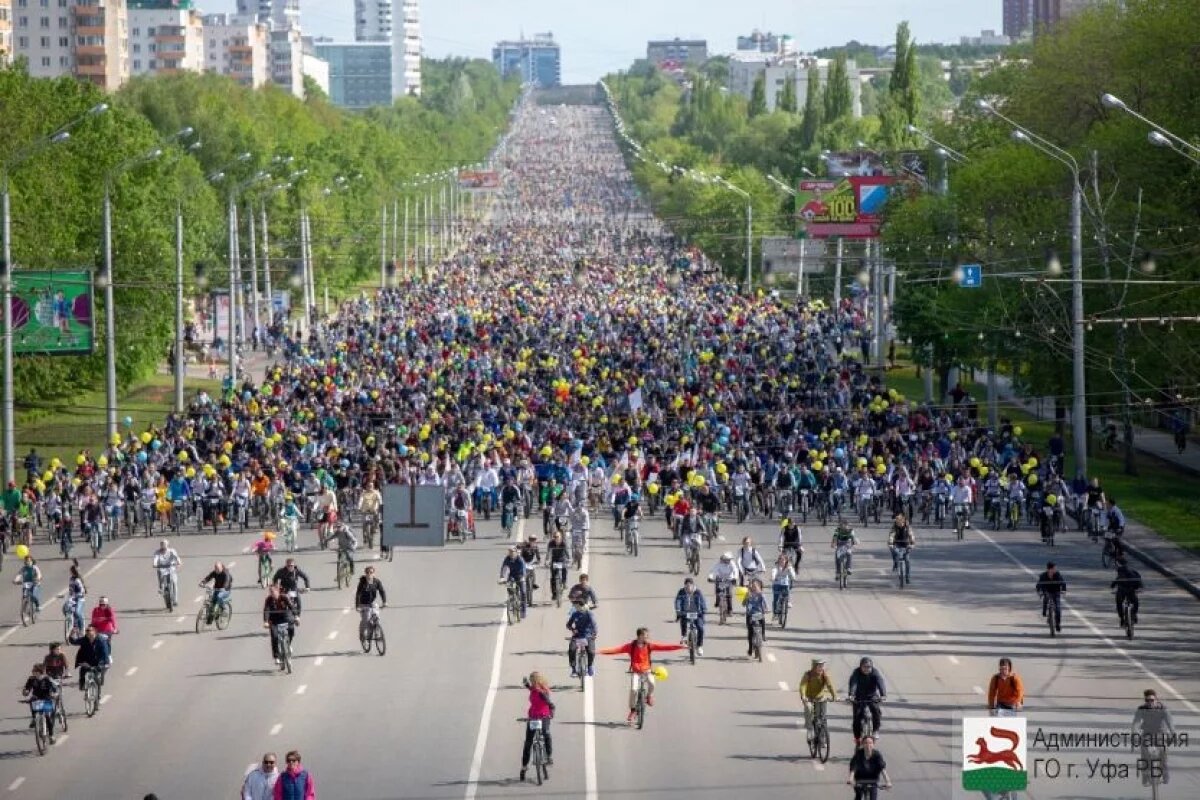    «День 1000 велосипедистов» пройдет в Уфе 1 июня