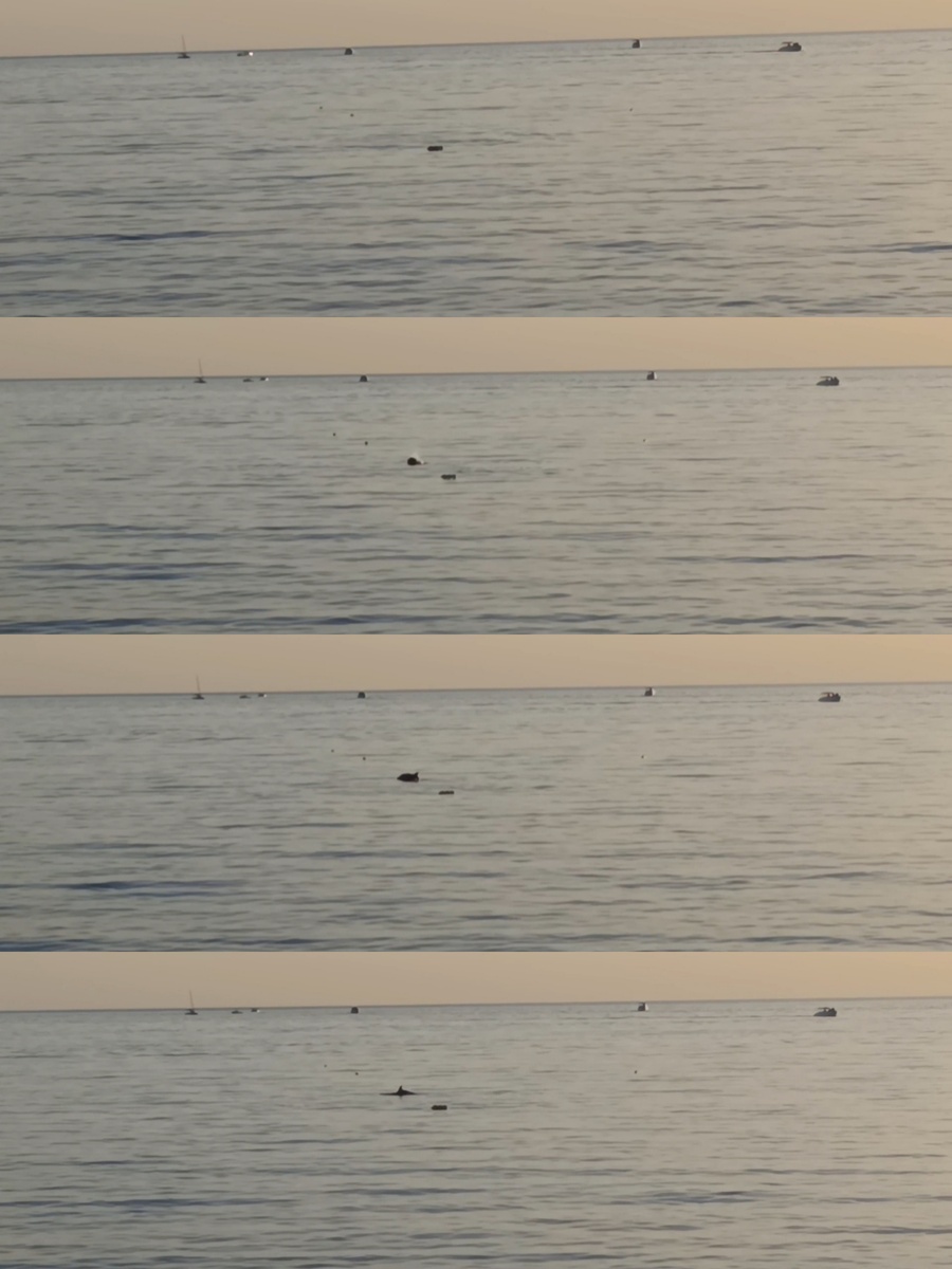 Хронология момента 