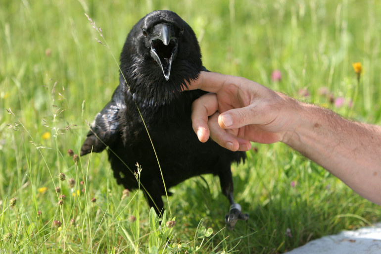 #жизньбезмасок #силавуязвимости #проситьэтонормально #мужскаяпсихология #осознанность