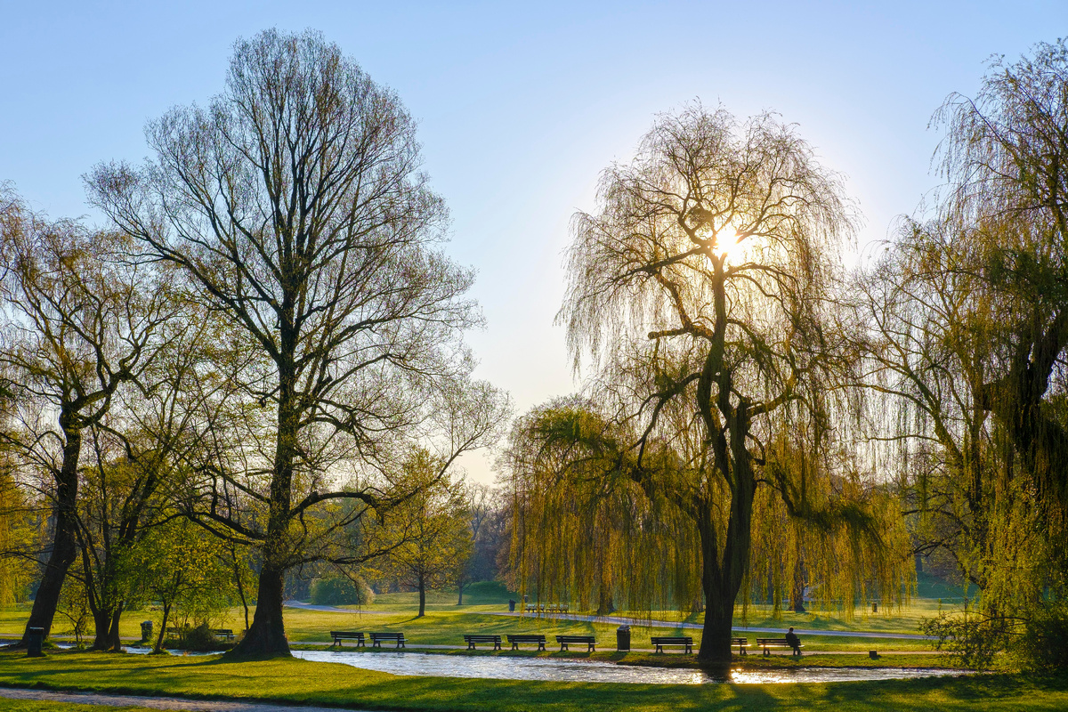 фото: Martin Siepmann/http://imagebroker.com/#/search/Global Look Press