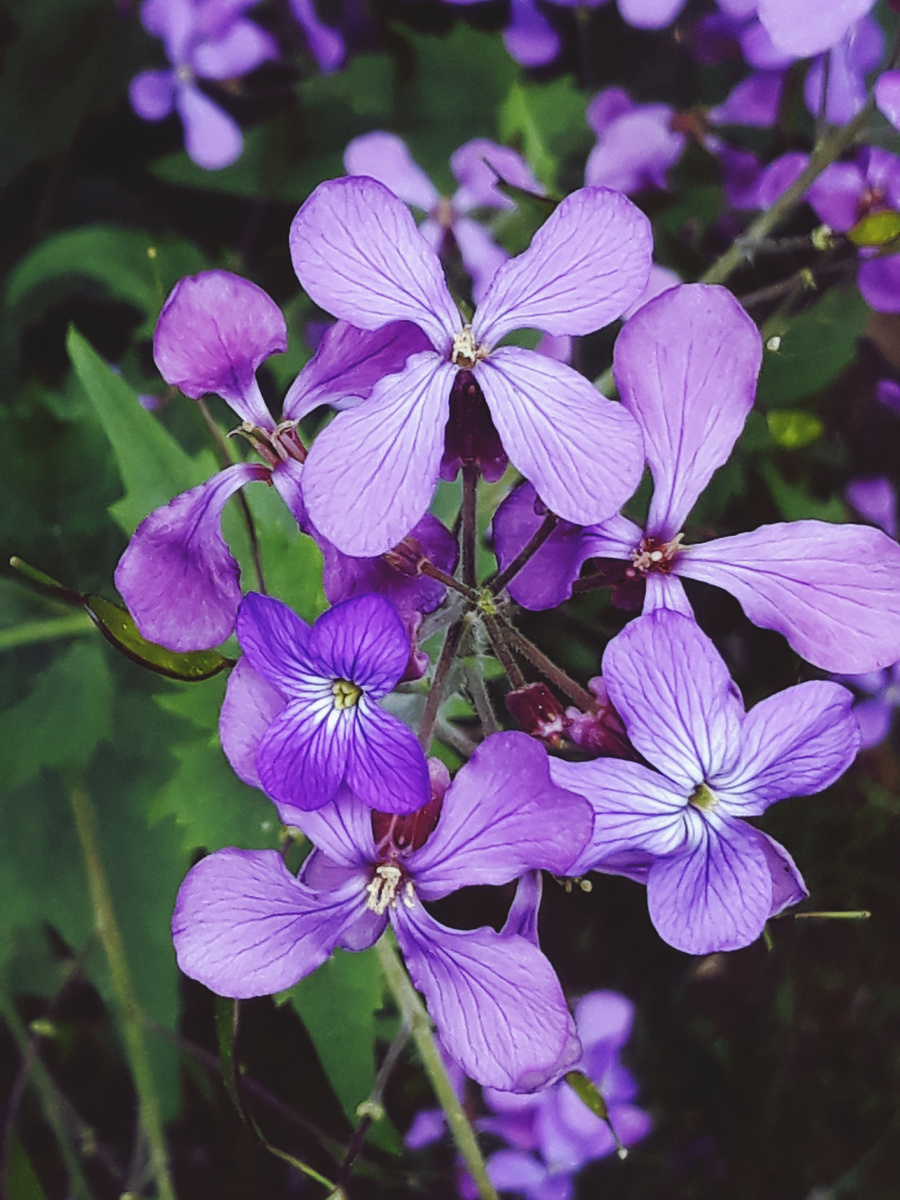 Designed by Freepik. Источник: www.freepik.com