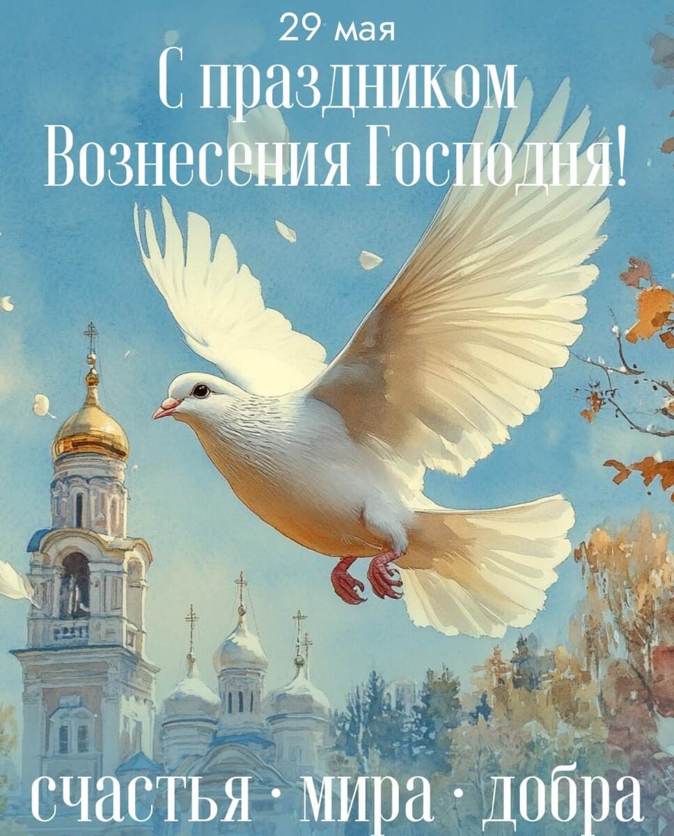 Фото взято из личной переписки. 