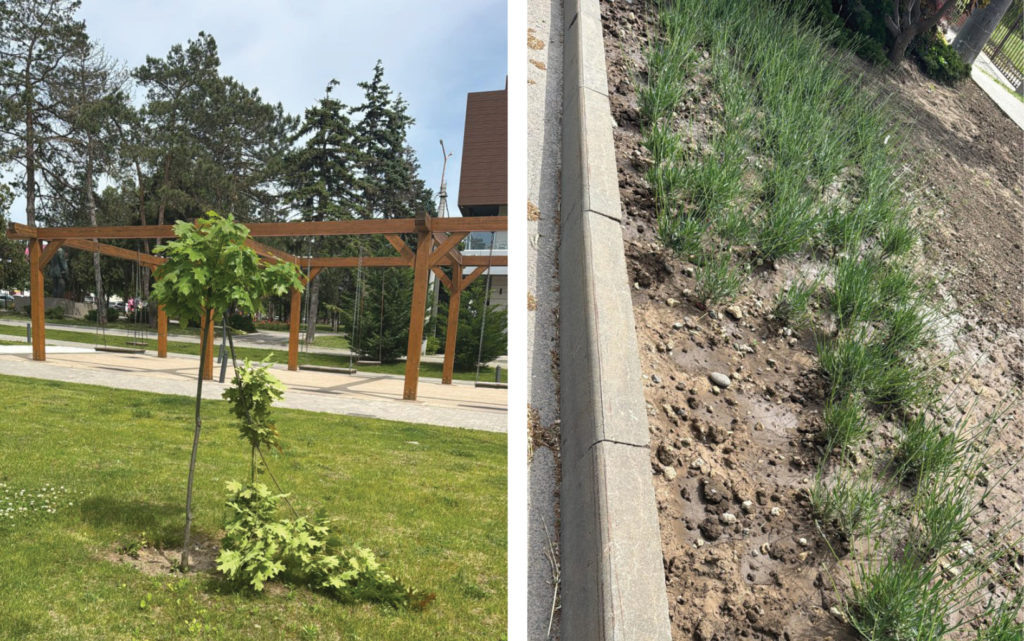    Фото предоставлено пресс-службой администрации Темрюкского городского поселения.