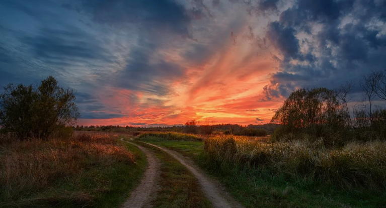 фото из открытых источников