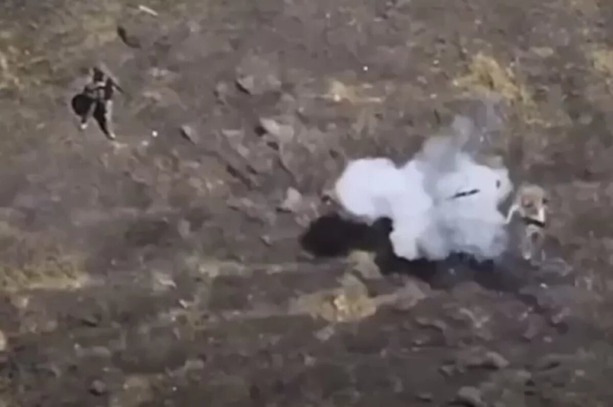    ВС РФ успешно сбивают вражеские дроны.