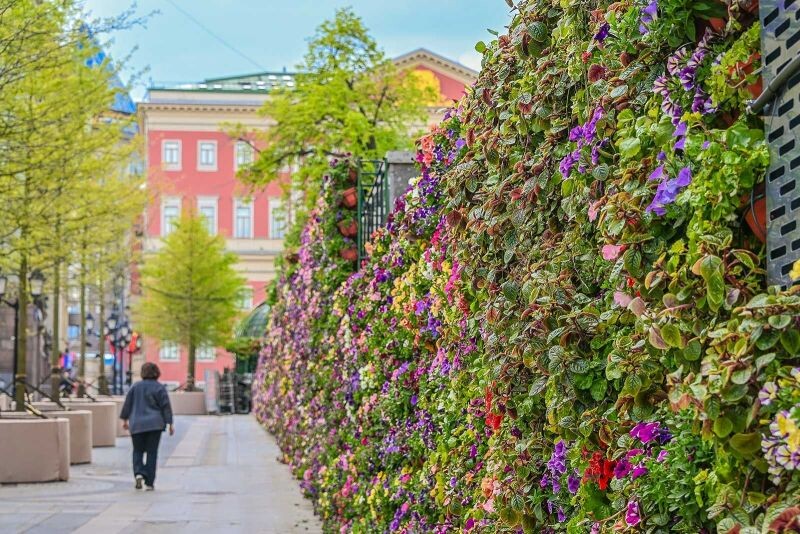    Фото: Пресс-служба Департамента торговли и услуг города Москвы