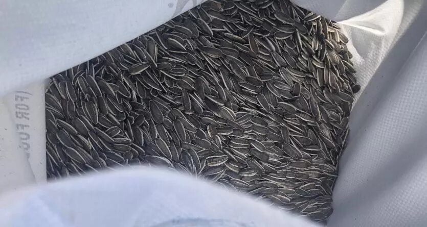 Фото: Уральское межрегиональное управление Россельхознадзора