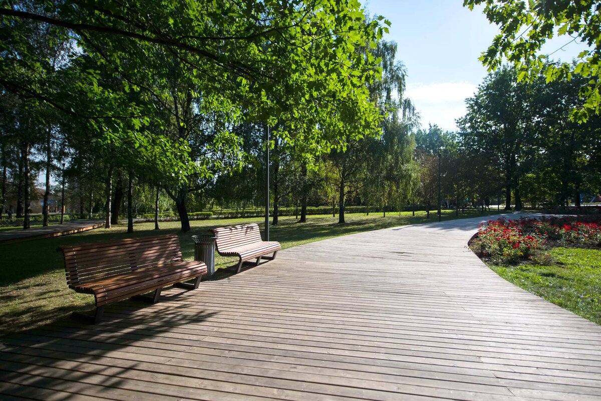 Яндекс. Картинки