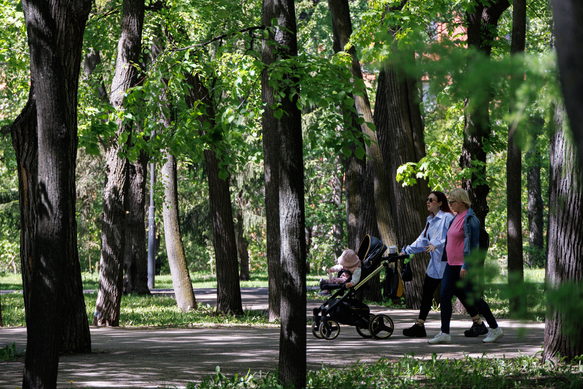 В июне в Лядском саду пройдет первый кофейный рейв. 
