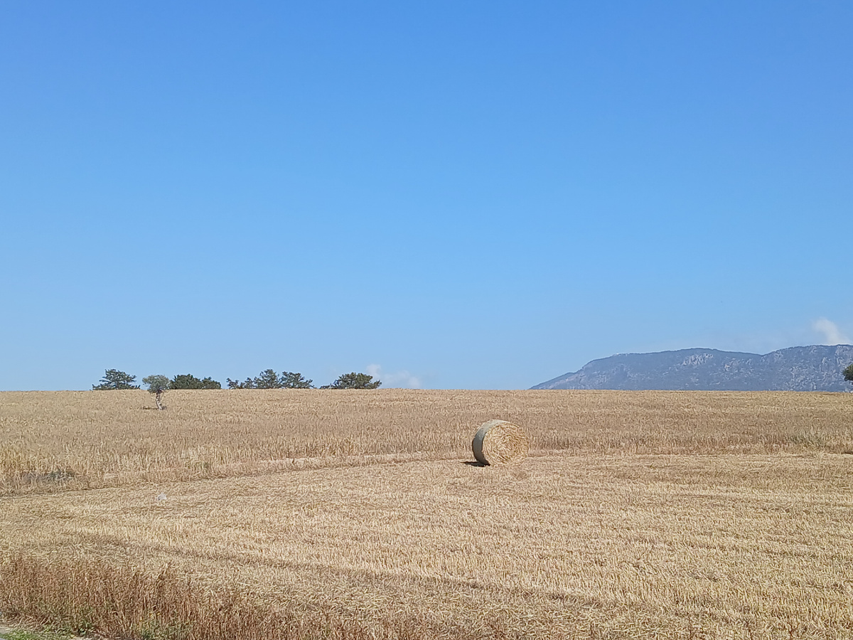 Типичный майский пейзаж на Кипре