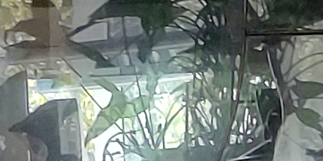 Плодородие субъективности: быть пищей для чего-то большего