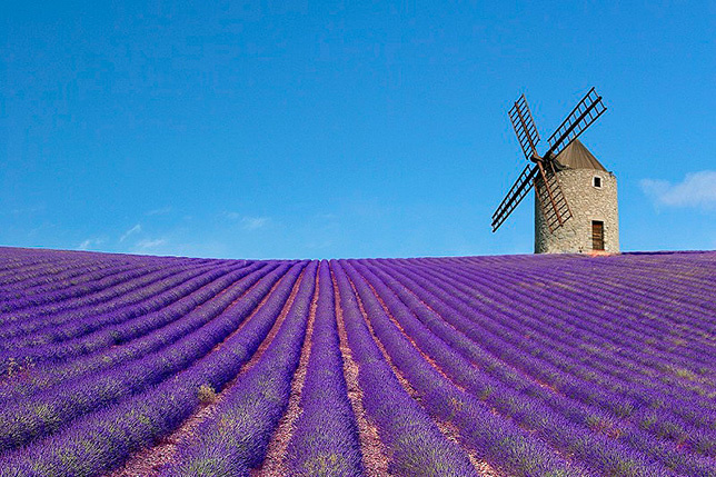 Запах лаванды и свет прованских деревень: прочувствуйте лето во Франции, не выходя из дома