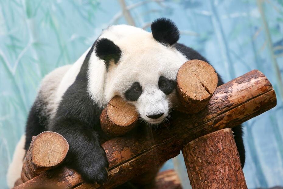    Наталья Шатохина/NEWS.ru