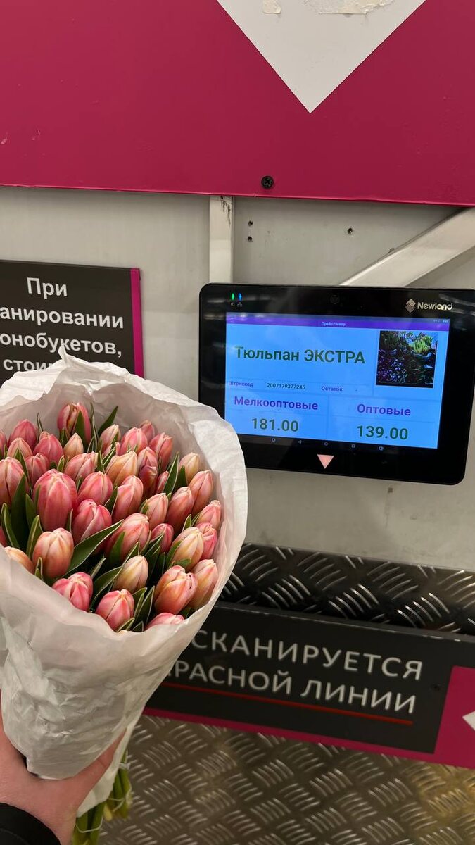 Цены с Фудсити