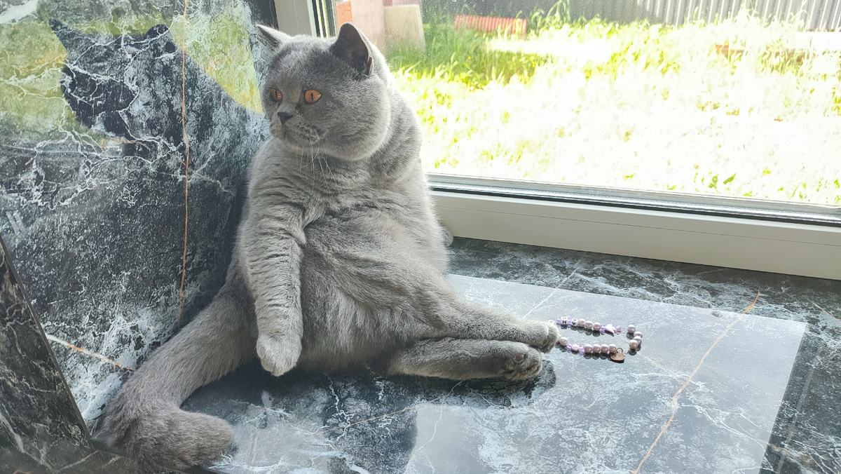 Не знала, какую фотографию выбрать))) 