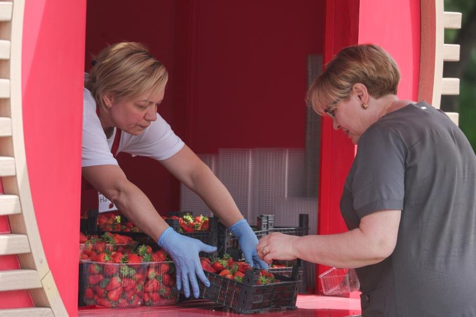    Наталья Шатохина/NEWS.ru