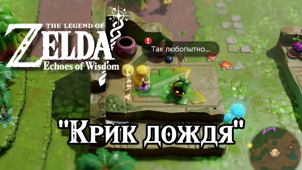 Дополнительное задание "Крик дождя" в игре "The Legend of Zelda: Echoes of Wisdom"