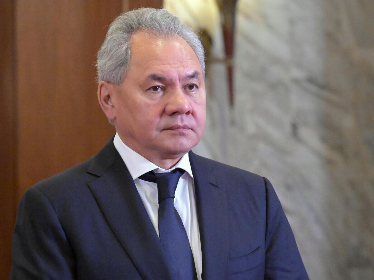    Секретарь Совета безопасности РФ Сергей Шойгу на 12-ой встрече секретарей советов безопасности государств - участников СНГ в Москве© РИА Новости / Алексей Никольский