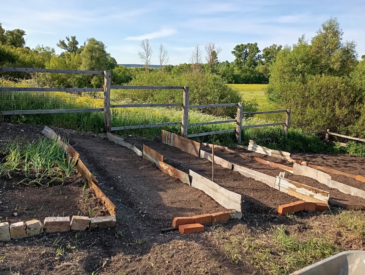 Вот мои грядки ступенчатые.