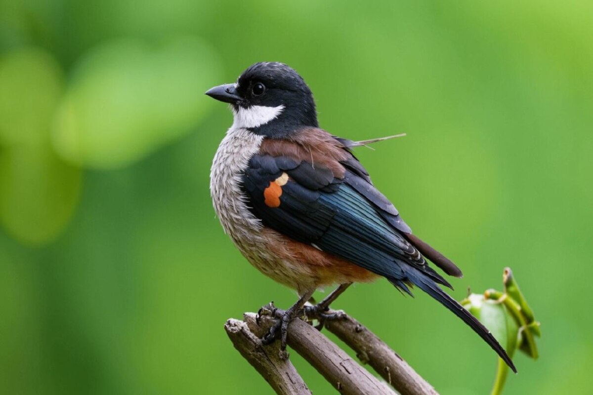    Фото сгенерировано Kandinsky 3.1