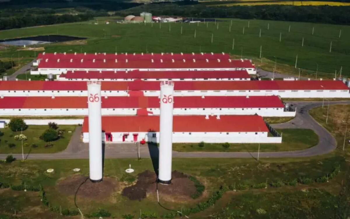    Русагро арестованного Мошковича передала долю в «Агро-Белогорье» правительству Белгородской области Фото компании