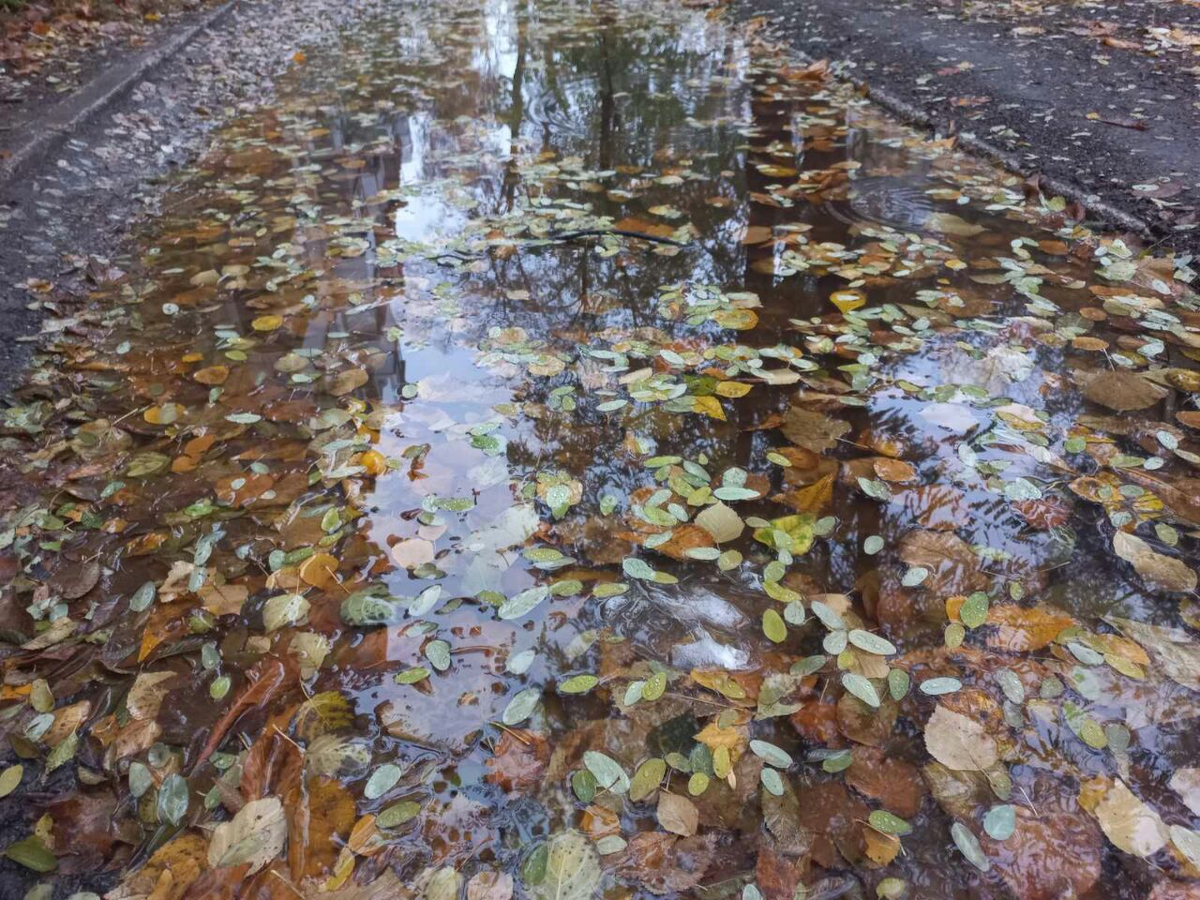 Фото автора.