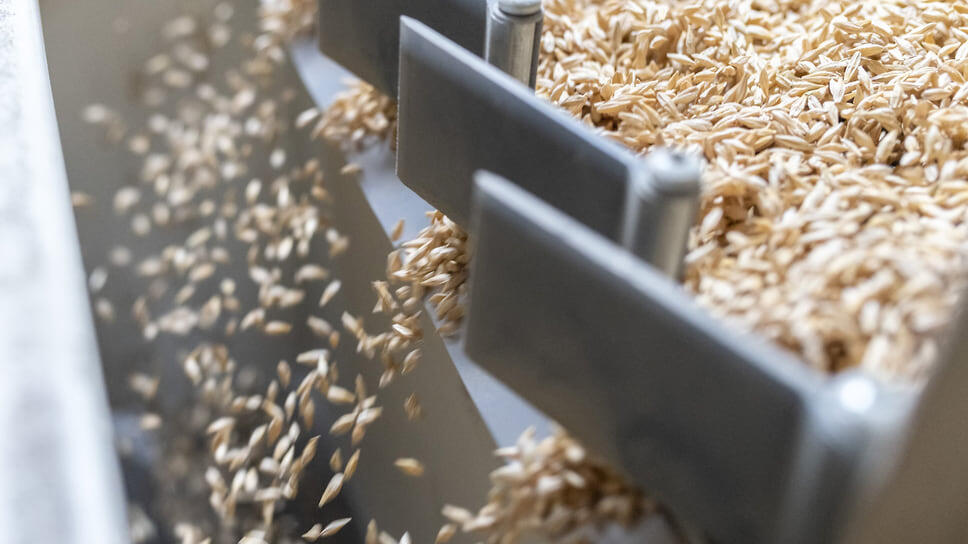 Фото: Игорь Елисеев / Коммерсантъ