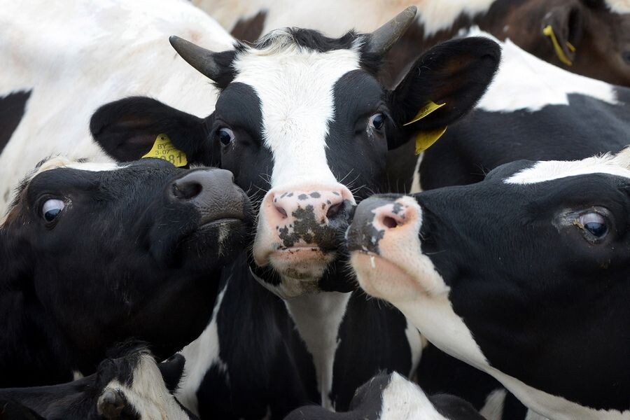     / Источник: © Виктор Драчев/ТАСС