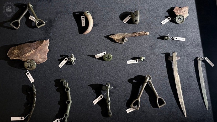    Институт истории материальной культуры Российской академии наук