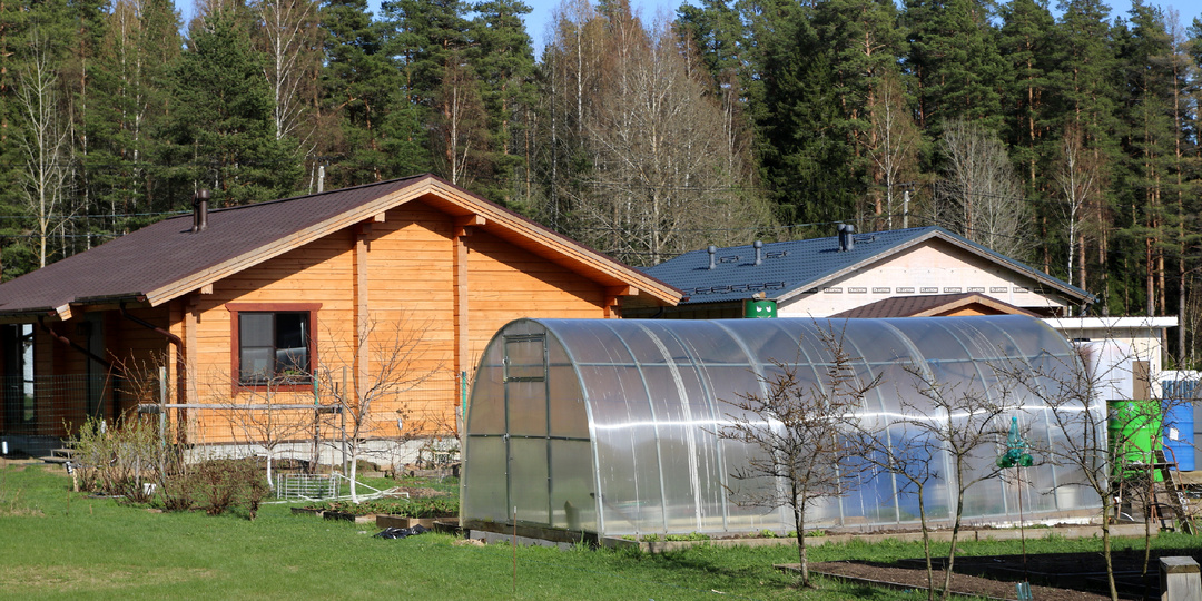 Всего два слова: бойня на даче началась из-за перепалки о тонкости