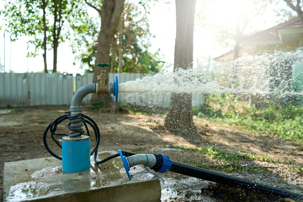Сквадина на участке