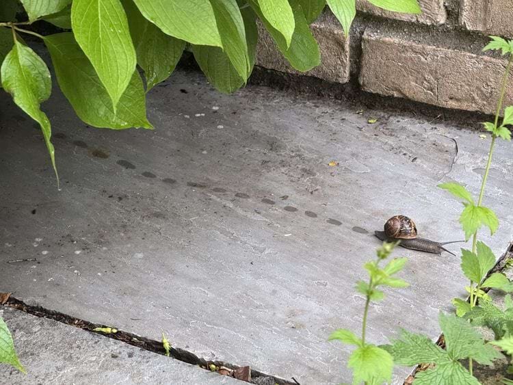 Источник: spacerifter/reddit