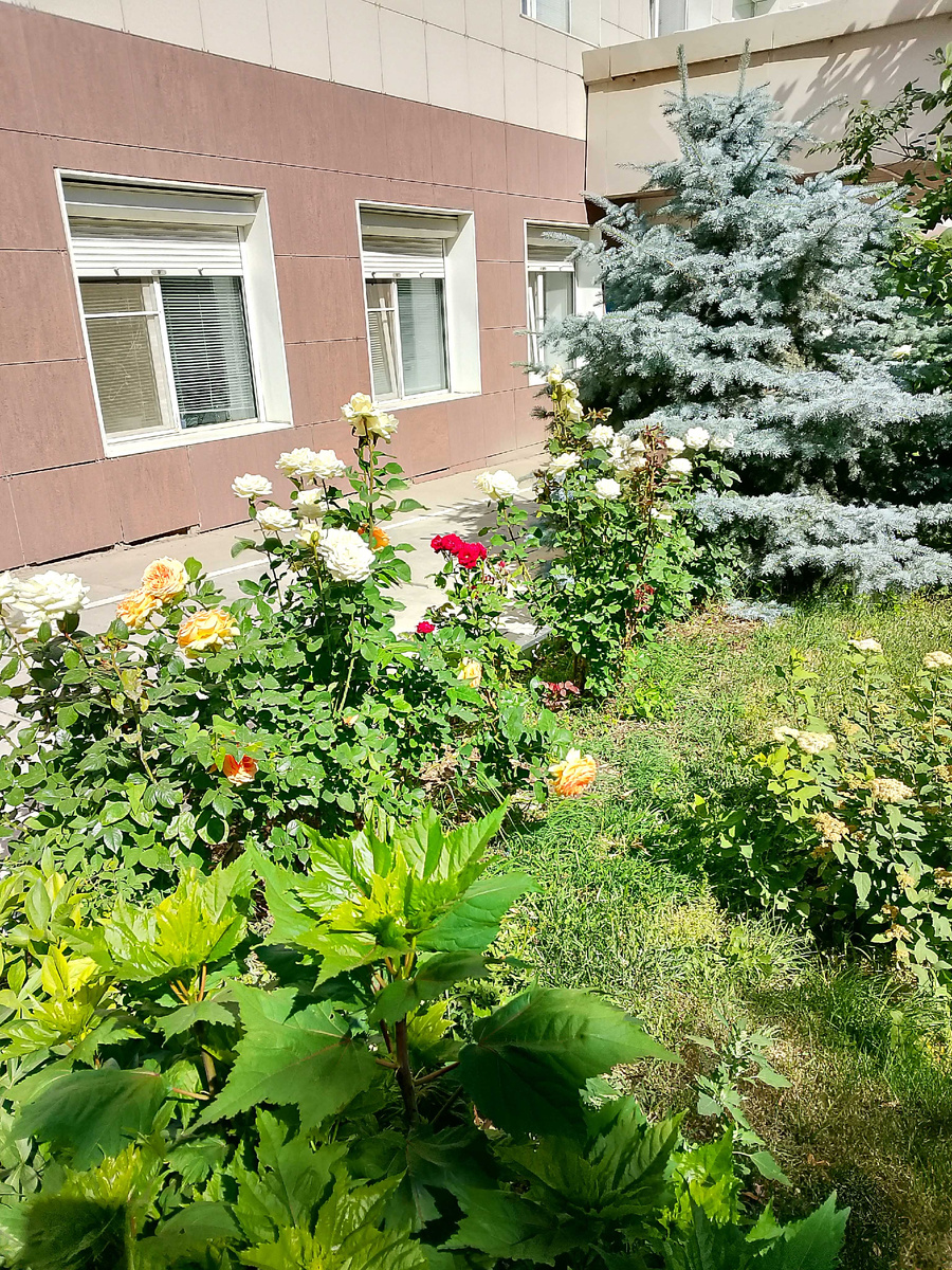 Фото автора