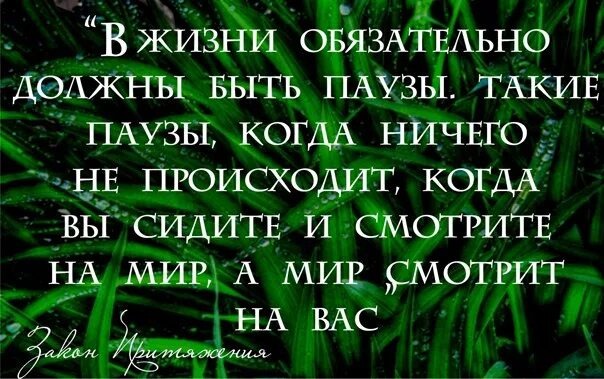 Из интернета. 