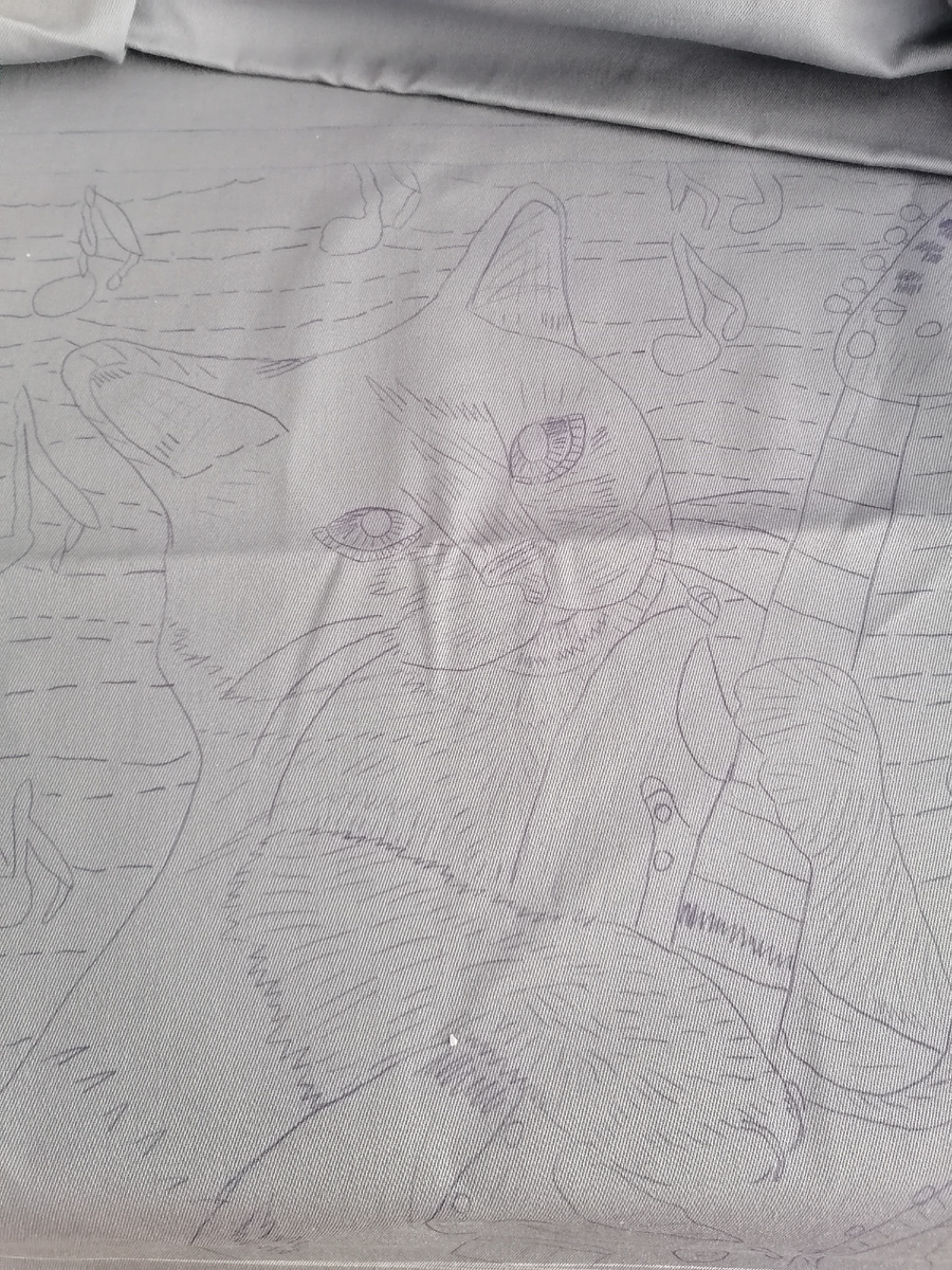 Перевела рисунок на ткань