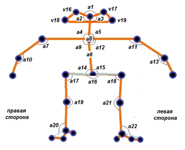Ключевые точки тела, которые программа идентифицирует на видео в автоматическом режиме (27 точек тела; 69 точек лица), а так же углов, по которым составляются гониограммы. Листайте галерею, чтобы получить больше информации.