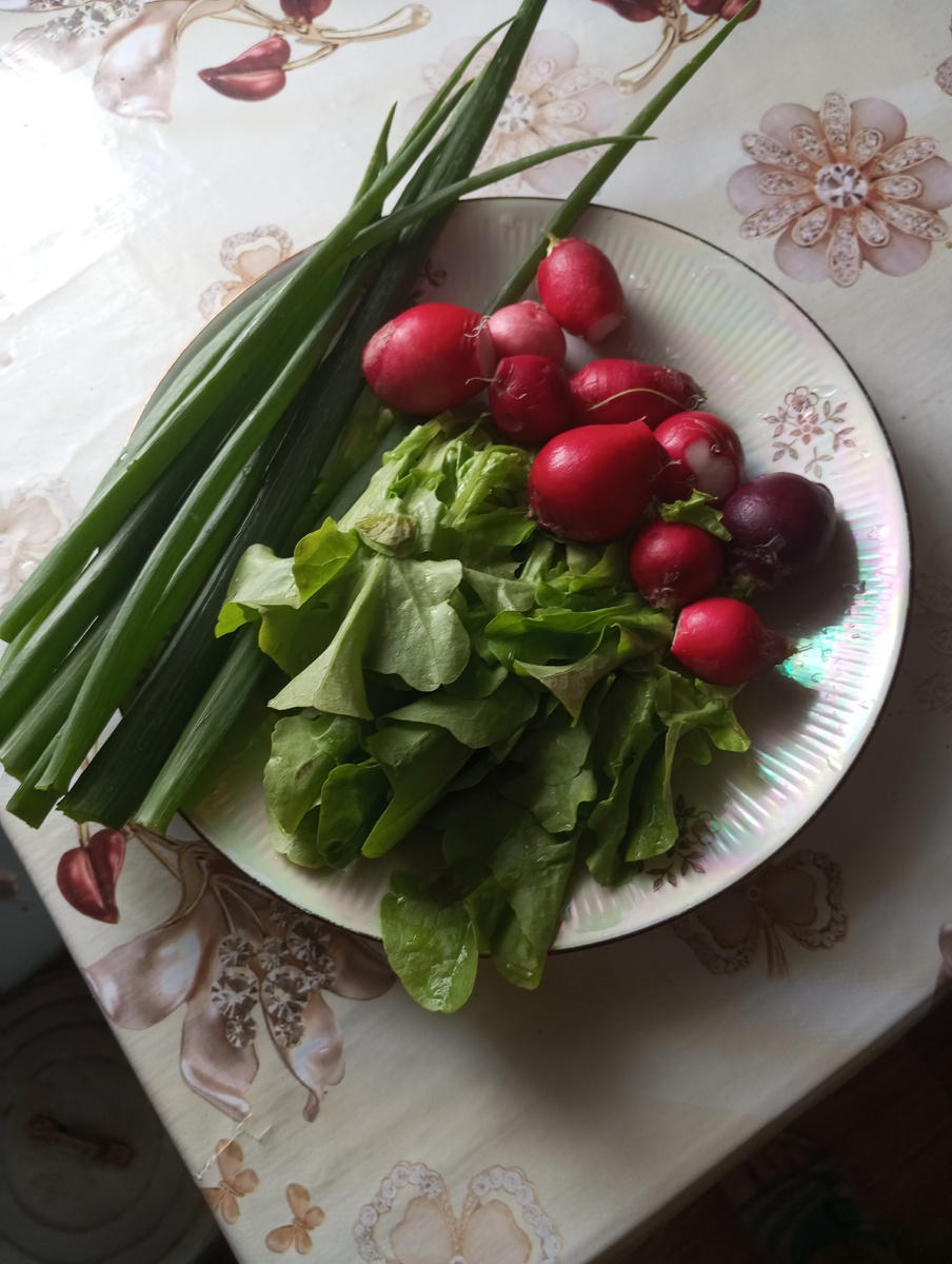 Своё родное