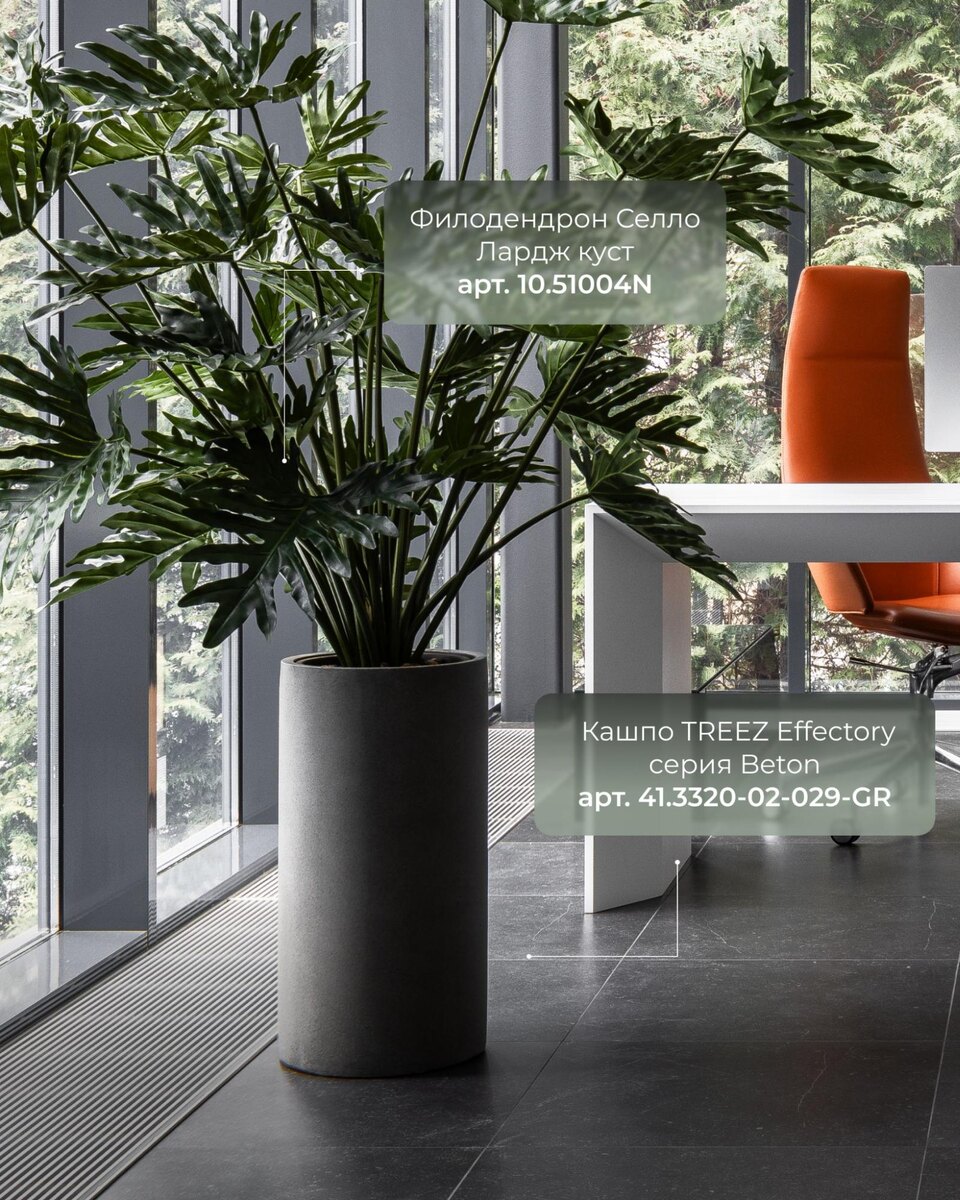 Кашпо и растения Treez Collection