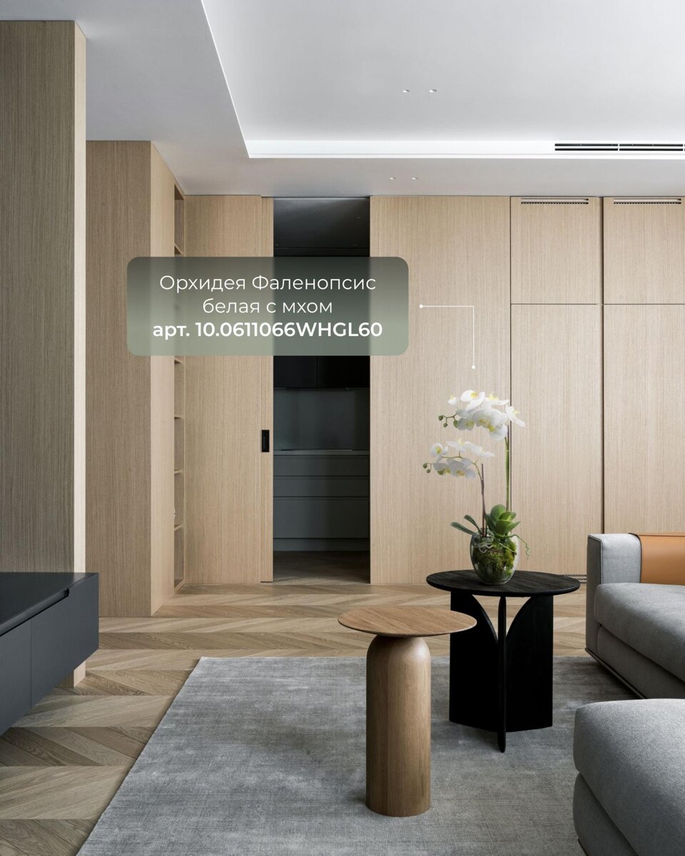 Кашпо и растения Treez Collection