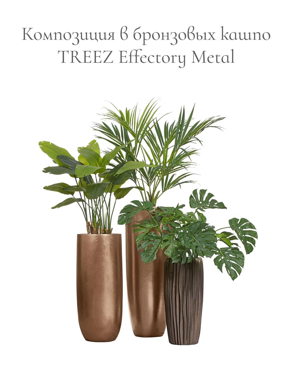 Кашпо и растения Treez Collection