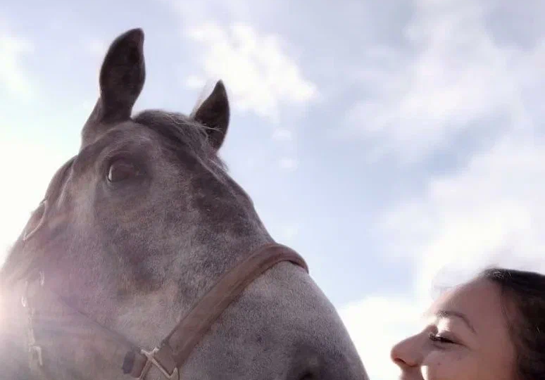 В Москве Екатерина Барабанова спасает лошадей, которых ждёт неминуемая смерть