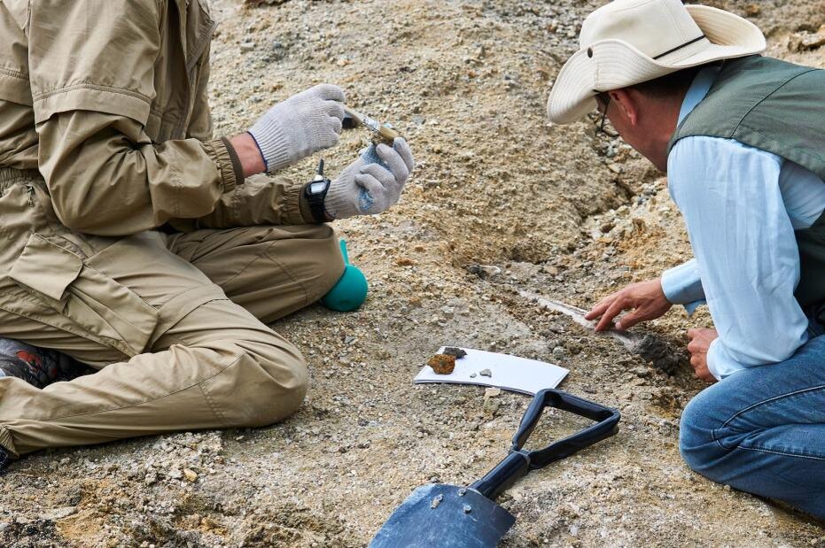    Shutterstock/FOTODOM