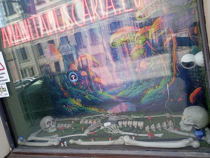 Рига, 22 мая 2025