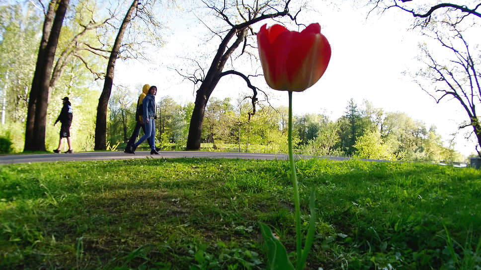 Фото: Майя Жинкина / Коммерсантъ
