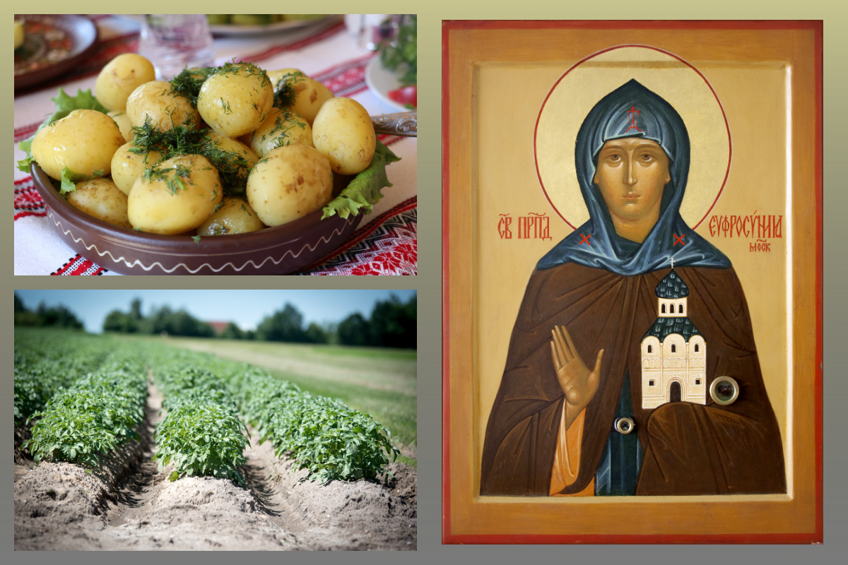 Икона Прп.Евдокии Московской/azbuka.ru, Огород,картофель/pixabay.com