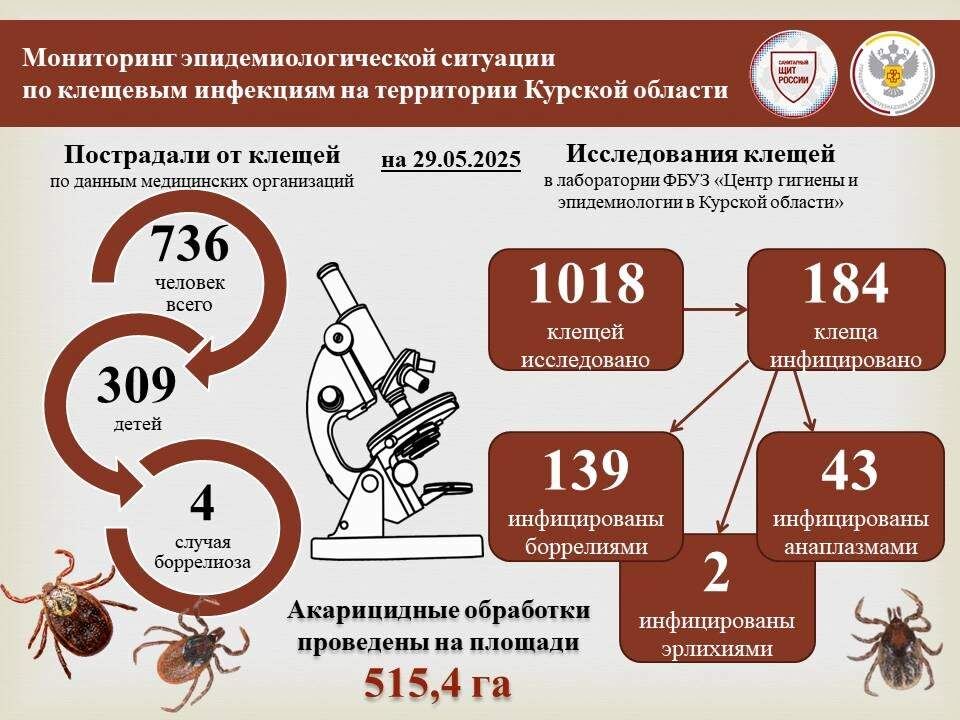    Фото Управления Роспотребнадзора по Курской области