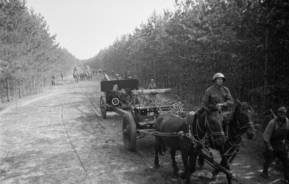 Несмотря на пресловутую механизацию в РККА, конная тяга для артиллерии оставалась актуальной ещё очень долго. Фотография в свободном доступе.