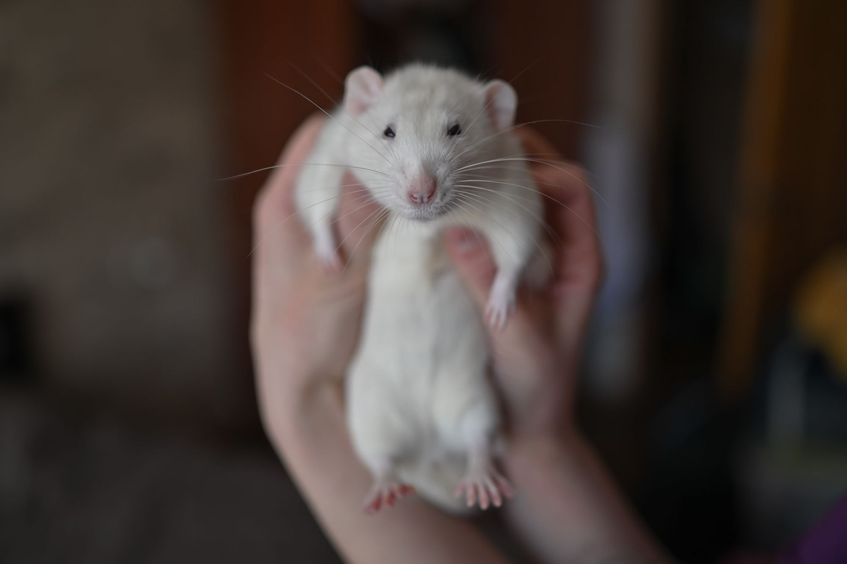 Фото: «Бумага»
